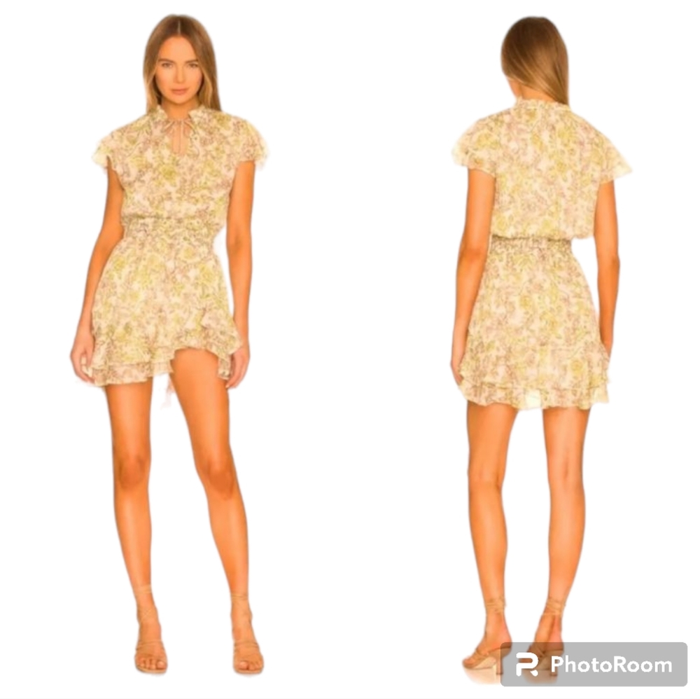 Misa chiffon print dress.